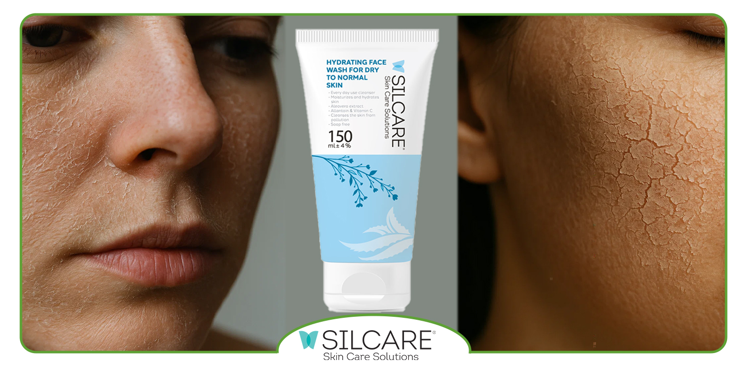 مواد موثره و ترکیبات ژل شستشو پوست خشک سیلکر